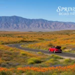 Panoramic view of Anza-Borrego Desert superbloom, California, with road and mountains.