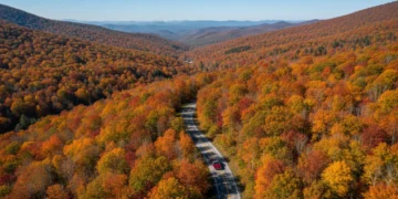 Scenic road winding through vibrant autumn trees in the Appalachian Mountains
