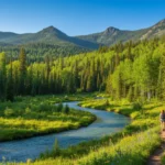Panoramic view of a vibrant national forest in summer, perfect for outdoor activities